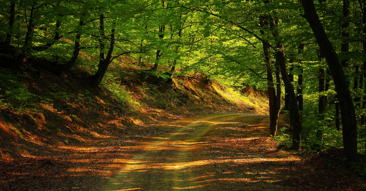 2 Years Sober: What I’ve Learned About Self Honour and Surrender