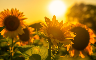 Spiritual Awakening & Self-Leadership: Why Spirituality Has No Rules or Gurus