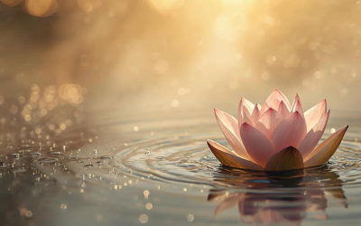 How I Used Meditation and Intuition to Navigate My Court Case